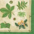 foret0045-1.jpg (3585 octets)