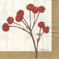 foret0053-1.jpg (3203 octets)