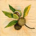 foret0054-1.jpg (3213 octets)