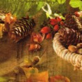 foret0062-1a.jpg (7037 octets)