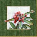 foret0064-1a.jpg (3739 octets)