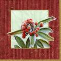 foret0064-3a.jpg (3965 octets)