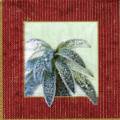 foret0064-3b.jpg (3769 octets)
