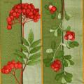 foret0065-2.jpg (3596 octets)