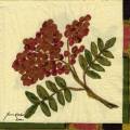 foret0067-2.jpg (3948 octets)