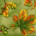 foret0072-1.jpg (3793 octets)