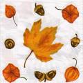foret0073-1a.jpg (4075 octets)