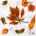 foret0073-1b.jpg (4235 octets)