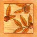 foret0074-1.jpg (3329 octets)