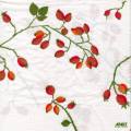 foret0077-1.jpg (3993 octets)