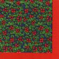 foret0080-1.jpg (4133 octets)