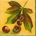 foret0090-1.jpg (6331 octets)