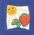 fraises0004.jpg (3424 octets)