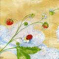 fraises0012-2a.jpg (3366 octets)