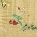 fraises0036-1.jpg (2679 octets)