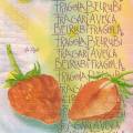 fraises0038-1a.jpg (3653 octets)