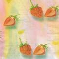 fraises0038-1b.jpg (2558 octets)