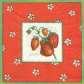 fraises0039-1.jpg (3496 octets)