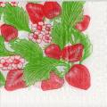 fraises0051-1.jpg (3823 octets)