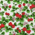 fraises0062-1.jpg (6120 octets)