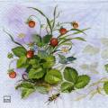 fraises0063-1a.jpg (3936 octets)