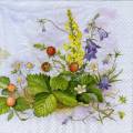 fraises0063-1b.jpg (3812 octets)