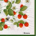 fraises0066-1b.jpg (4302 octets)