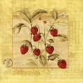 fraises0074-1.jpg (3273 octets)