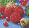 fruits_rouges0001a.jpg (3654 octets)