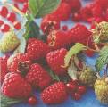 fruits_rouges0001d.jpg (4158 octets)
