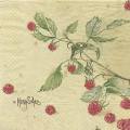 fruits_rouges0003a.jpg (3107 octets)