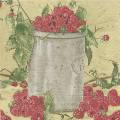 fruits_rouges0003b.jpg (3581 octets)