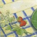fruits_rouges0004-2a.jpg (3776 octets)