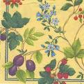 fruits_rouges0005-1a.jpg (4914 octets)