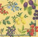 fruits_rouges0005-1b.jpg (5084 octets)