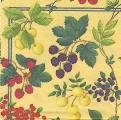 fruits_rouges0005-1c.jpg (5068 octets)