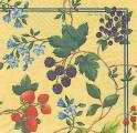 fruits_rouges0005-1d.jpg (5276 octets)