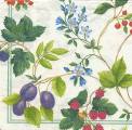 fruits_rouges0005a.jpg (4899 octets)