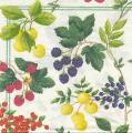 fruits_rouges0005c.jpg (4873 octets)