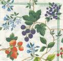 fruits_rouges0005d.jpg (5087 octets)
