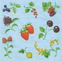 fruits_rouges0008-1.jpg (3827 octets)