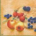 fruits_rouges0009-3a.jpg (3147 octets)