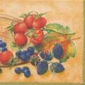 fruits_rouges0009-3b.jpg (3424 octets)