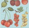 fruits_rouges0010-1.jpg (4293 octets)
