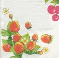 fruits_rouges0013-1a.jpg (3449 octets)
