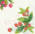 fruits_rouges0013-1b.jpg (3178 octets)