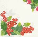 fruits_rouges0013-1c.jpg (3299 octets)