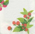 fruits_rouges0013-1d.jpg (2974 octets)