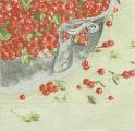 fruits_rouges0014-1b.jpg (3642 octets)