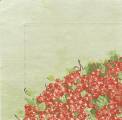 fruits_rouges0014-1c.jpg (2703 octets)